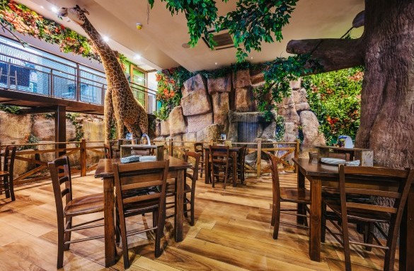 db-seabank-jungle-11th-february-2025-2